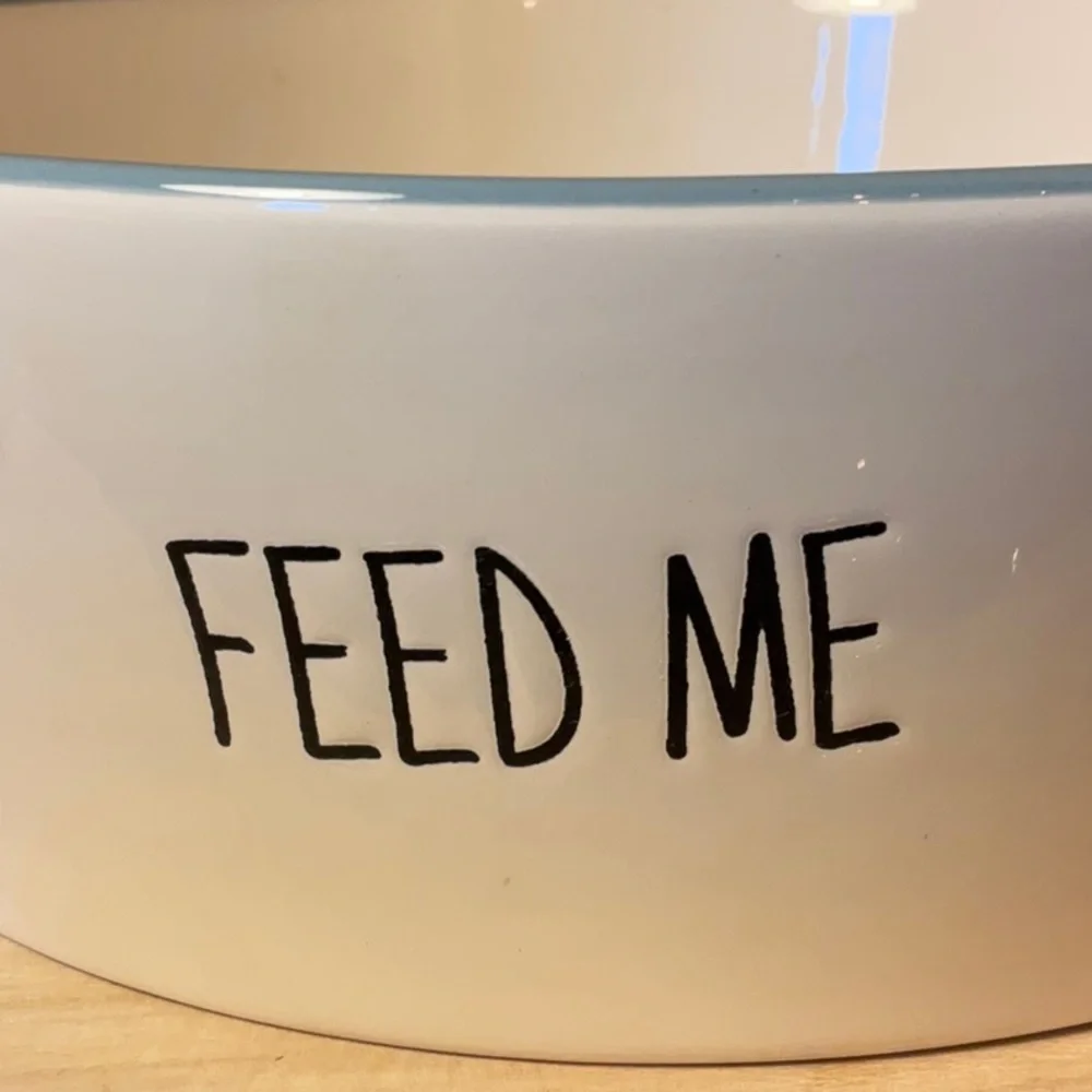 “FEED ME” large dog bowl with lab, beagle, pug artfully painted inside